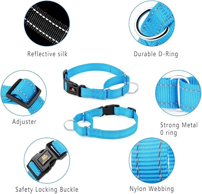 PLUTUS PET Reflective Martingale Collar with Quick Snap Buckle,No Pull Dog Choker Collar for Small Medium Large Dogs,S,Blue