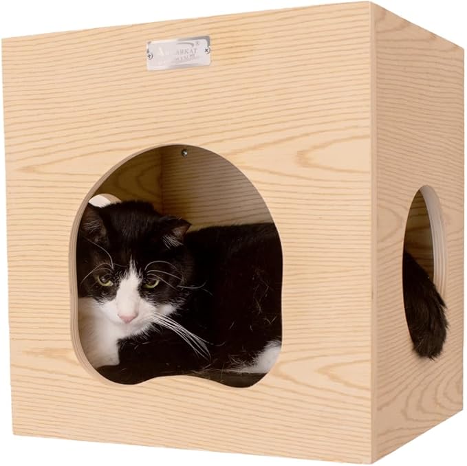 Wall Cat Tree - Condo & Perch - Solid Poplar Wood - 14" x 12" x 14"