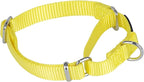 Hyhug Martingale Collar for Dogs Small Yellow |Escape - Proof Heavy Duty Nylon Durable No Buckle, Ideal for Training & Daily Walks