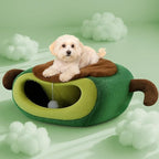 Cute Cat Beds for Indoor Cats, Small Dog Beds, Soft Washable Pet Beds for Kitten and Puppy, Funny Avocado Cat Cave Cat Toys, 19 Inches