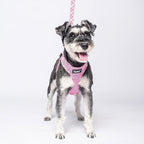 PUPTECK Dog Harness and Leash Set for Small Medium Dogs No Pull Step-in Soft Mesh Puppy Cat Vest Harnesses Reflective at Night, Pink L