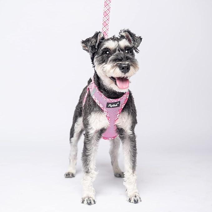 PUPTECK Dog Harness and Leash Set for Small Medium Dogs No Pull Step-in Soft Mesh Puppy Cat Vest Harnesses Reflective at Night, Pink L