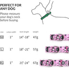 Martingale Dog Collars - Flower Multicolor Cute Patterns, Adjustable Nylon Training Dog Collar Suitable for Boy and Girl Dogs Medium Large Dogs (5, M)