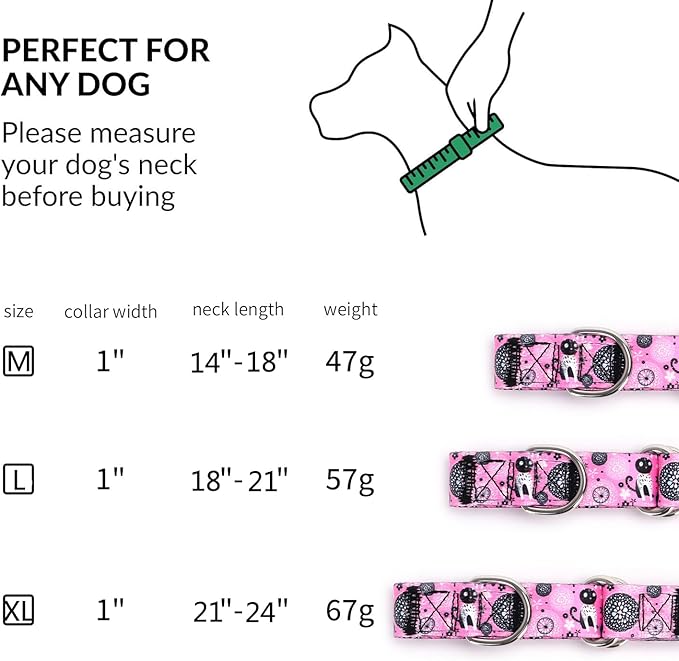 Martingale Collar and Leash Set, Premium No Slip Martingale Collar for Dogs Medium Large, Girl Dog Collars Training (NO1, M)