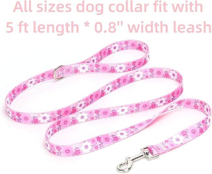 Dog Collar with Leash Airtag Holder Case Set - Dog Collars for Male Female Boy Girl Puppy X-Small Small Medium Large Dogs Walking Running Training - Pink Daisy/M
