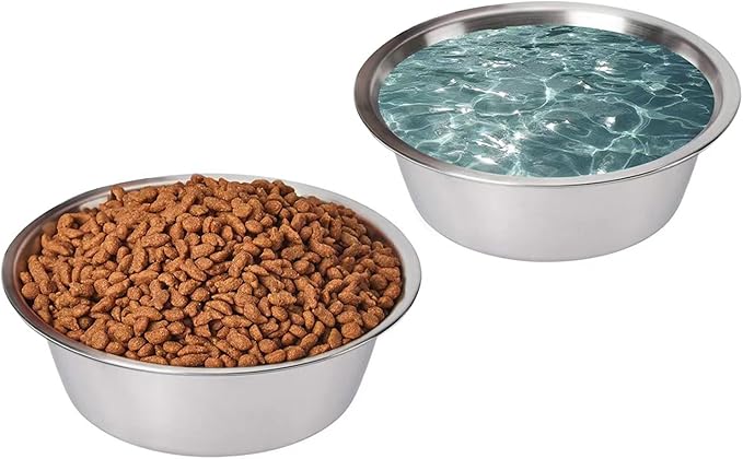 FOYO Stainless Steel Pet Bowls Set - Dog Dishes for Small/Medium Dogs, 29 OZ Food and Water Bowls, Set of 2
