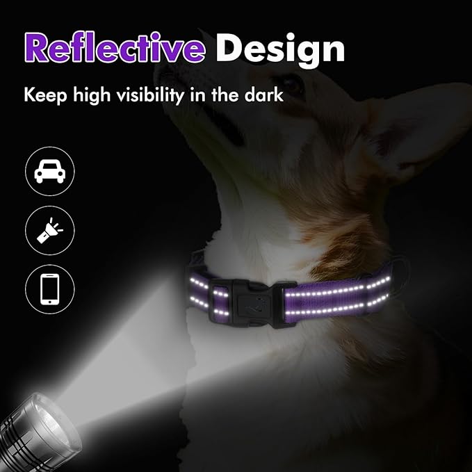 Martingale Collar for Dogs with Quick Release Buckle, Reflective Soft Padded & Escape Proof, Adjustable Nylon Dog Collars for Training & Daily Walking (Purple,L)