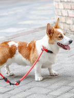 Slip Collar, Dog Choker Collar, Nylon Dog Training Collar with Slidable Stopper No Pull Dog Collars Martingale Collars for Small Medium Large Dogs, Red, S