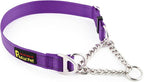 Plutus Pet Martingale Dog Collar with Stainless Steel Chain and Reflective Nylon, Adjustable No Pull Training Collar, for Small Medium, and Large Dogs, Purple, M