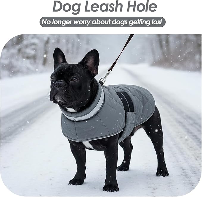 KAMA BRIDAL Dog Winter Coat Warm Padded Puppy Jacket Windproof Water Resistant Clothes for Small Medium Large Pets Christmas Sweater Outfit Vest(Grey, S)