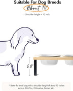 Elevated Dog Bowls, Raised Dog Bowl Stand with Two 5.1 inch Ceramic Bowls, Non-Slip Cat Food and Water Dish for Small and Medium Breed, White