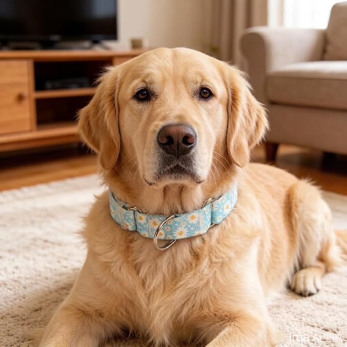Light-Blue Martingale Collars for Dogs, Daisy Print No-Slip Escape Proof Choke No Pull Soft Nylon Training Dog Collars for Small Medium Large Breed Pet Dogs, M