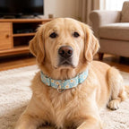 Light-Blue Martingale Collars for Dogs, Daisy Print No-Slip Escape Proof Choke No Pull Soft Nylon Training Dog Collars for Small Medium Large Breed Pet Dogs, S