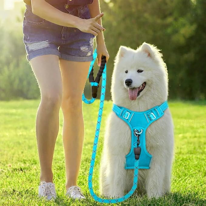BARKBAY Dog Harness No Pull Oxford with ID Tag Pocket - Heavy Duty, Reflective, Easy Control for Large Dogs(Aqua Oxford,XL)