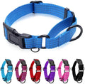 Martingale Collar for Dogs, Adjustable Soft Nylon Dog Collars with Special Design Cute Patterns (Blue, L (1" x 19"-26"))