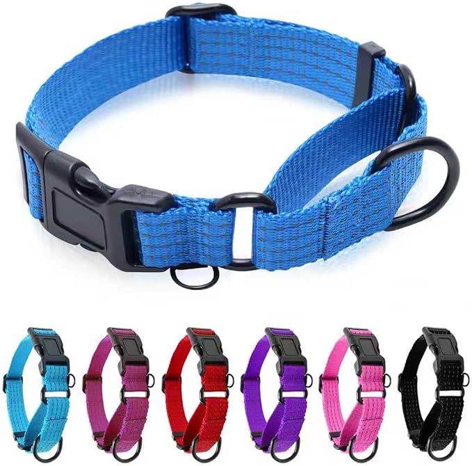 Martingale Collar for Dogs, Adjustable Soft Nylon Dog Collars with Special Design Cute Patterns (Blue, L (1" x 19"-26"))