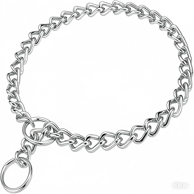 Choke Chain for Dogs, Metal Slip Link Training Heavy Duty Dog Choke Collar Martingale Puppy Collars for XXS XS Small Medium Large Big XL Breed Dogs (Silver, XS)