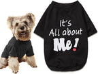 DroolingDog Dog Tee Shirt Summer Dog Clothes Funny T Shirt Dogs Costume for Small Dogs Puppy Shirts, Large, Black