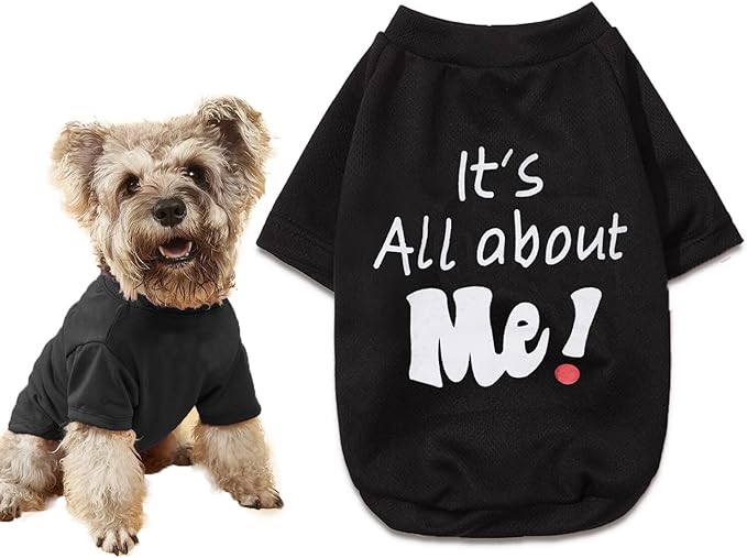DroolingDog Yorkie Clothes - Black Dog Tee Shirts, Small & Medium