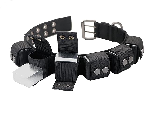Tactical Weighted Dog Collar - Weights for Training & Exercise - Small, Medium, Large Dogs