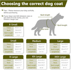Fleece Hoodie, Windproof Waterproof Coat, Winter Warm Jacket, Cold Weather Pet Apparel Clothes Vest for Small Medium Large Dogs (XL, Green)