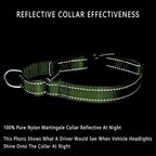 Plutus Pet Reflective Martingale Collar with Buckle - Durable and Adjustable Training Collar for No Pulling, Dog Choker Collar for Small Medium Large Dogs, Bright Green, M