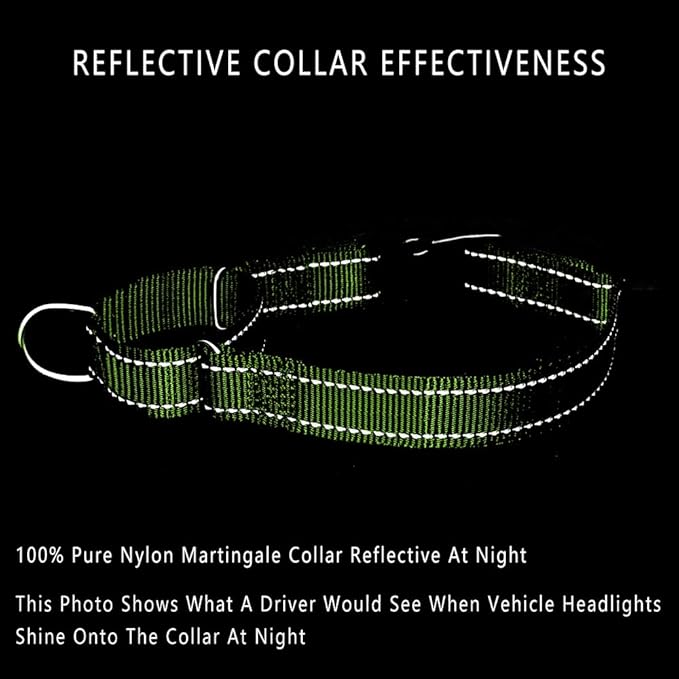 Plutus Pet Reflective Martingale Collar with Buckle - Durable and Adjustable Training Collar for No Pulling, Dog Choker Collar for Small Medium Large Dogs, Bright Green, L