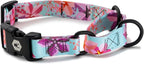Wolfgang Heavy Duty Martingale Dog Collar with Quick Release Nylon Buckle for Walking & Training, DigiFloral Print, Medium