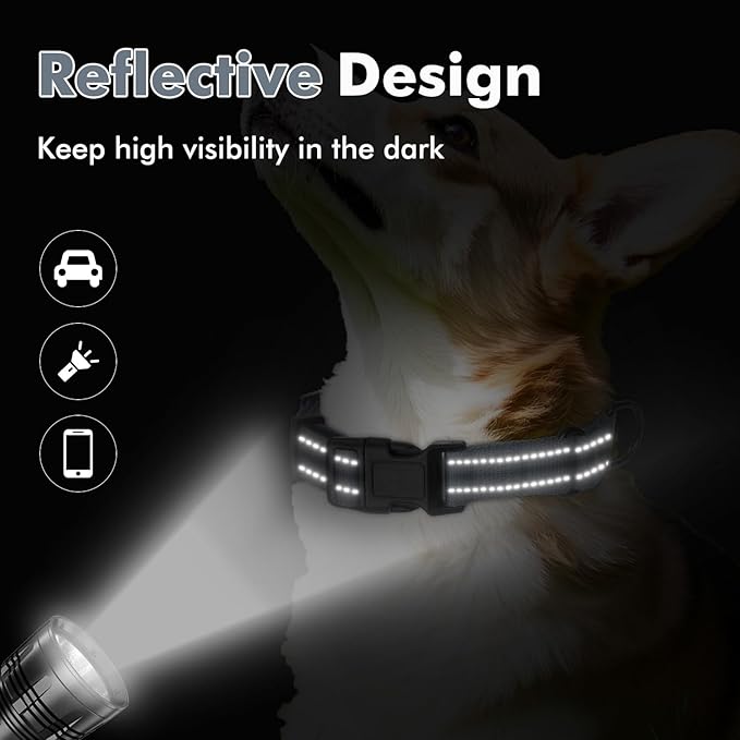 Martingale Collar for Dogs with Quick Release Buckle, Reflective Soft Padded & Escape Proof, Adjustable Nylon Dog Collars for Training & Daily Walking (Grey,XS)