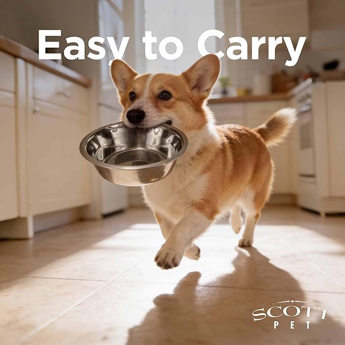 Scott Pet Bowl, Stainless Steel Pet Water and Food Bowl, 3 Quarts (9.81 x 9.81 x 3.25 Inches, 0.42 lbs), Dishwasher Safe, Rust Resistant, Silver