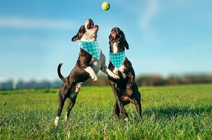 Lionet Paws Dog Bandana,Fabric Ball Dogs Kerchief for Small Medium Large Dogs,Dog Cotton Triangle Bibs Scarf for Girl Boy