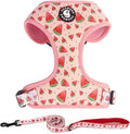 Dog Harness and Leash Set, Adjustable Dog Harness, Dog Leash, No Pull No Choke Puppy Harnesses for Walking Training for Small Medium Pet