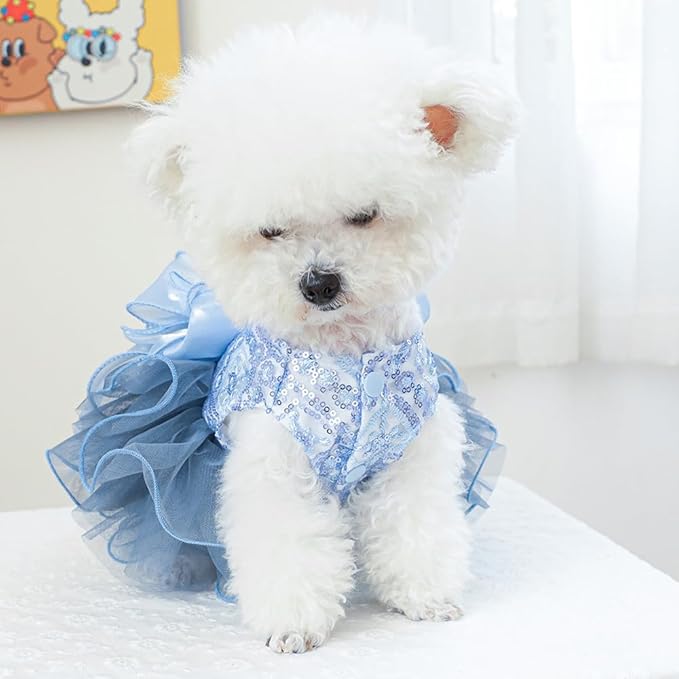 ANIAC Blue Cat Wedding Dress with Bow Knot Dog Wedding Outfit Formal Puppy Clothes for Girl Small Dog Luxury Pet Party Dress for Kitten Chihuahua Yorkie Pomeranian (Blue-2, Large)