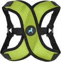 Gooby Comfort X Step in Lite Dog Harness - Choke Free, Escape Free with Light Breathable Mesh - Step in Dog Harness for Small Dogs Only - Quick Release Buckle, Metal D-Rings - Green, X-Large