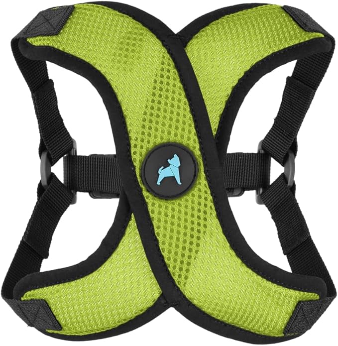 Gooby Comfort X Step in Lite Dog Harness - Choke Free, Escape Free with Light Breathable Mesh - Step in Dog Harness for Small Dogs Only - Quick Release Buckle, Metal D-Rings - Green, X-Small