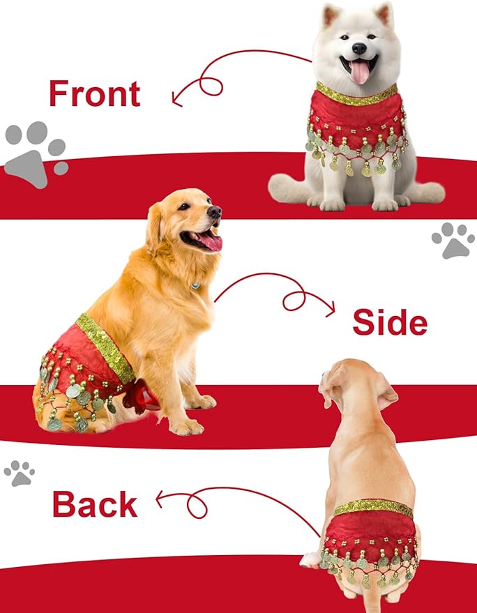 Dog Belly Dancer Costume - Puppy Outfit with Sequin Waist Chain & Hip-Shaking Skirt - Ideal for Corgi and Puppy Birthday Parties or Halloween Celebrations(Small,Red)
