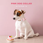 Tunkoo Pink Dog Collar with Bow Tie Cute Cake - Durable, Adjustable, and Stylish Pet Collar Available in Small Medium Large M
