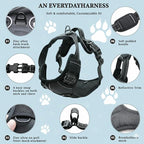 No Pull Dog Harness, Reflective Comfortable Vest Harness with Front & Back Easy Control Handle Adjustable Soft Padded Pet Vest for Small to Large Dogs(Pink,XL)