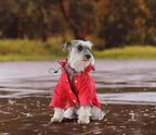 Dog Zip Up Raincoat with Reflective, Rain/Water Resistant, Adjustable Drawstring, Removable Hood, Raincoats with Legs 8lbs to 80lbs Available - Red - Small