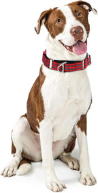 Martingale Collar for Dogs - Reflective Nylon with Padded Comfort & Quick Release Buckle - No Slip Choke Heavy Duty Collar for Safe Training, Walking & Nighttime Use Red S