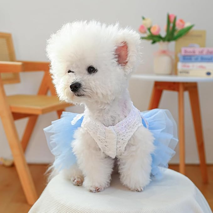 Fashion Sweet Puppy Dog Blingbling Princess Skirt Pet Dog Lace Cake Camisole Tutu Dress B-Light Blue XXS