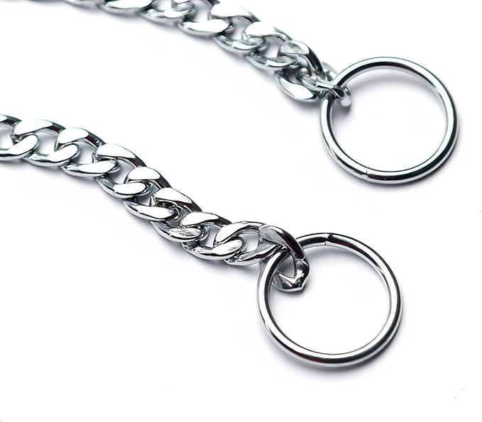 Flat Chain Dog Collar, Metal Slip P-Link Training Heavy Duty Dog Collar Puppy Collars for XS Small Medium Large Dogs, Silver XS