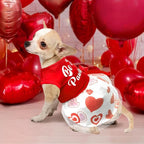 Dog Valentines Day Clothes Be My Pawlentine Dog Valentines Outfit Red Tulle Pet Dress with Bowknot for Small Medium Large Dogs Cat Girl