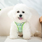 Step in Dog Harness No Pull Dinosaur Adjustable Soft Mesh Padded Reflective Pet Vest Harness and Leash Set for Small Medium Dogs