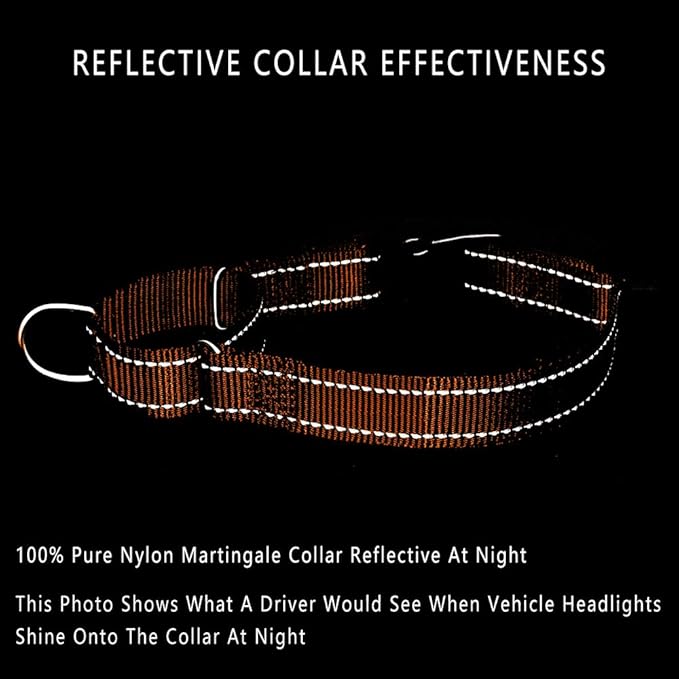 PLUTUS PET Reflective Martingale Collar with Quick Snap Buckle,No Pull Dog Choker Collar for Small Medium Large Dogs,XS,Orange