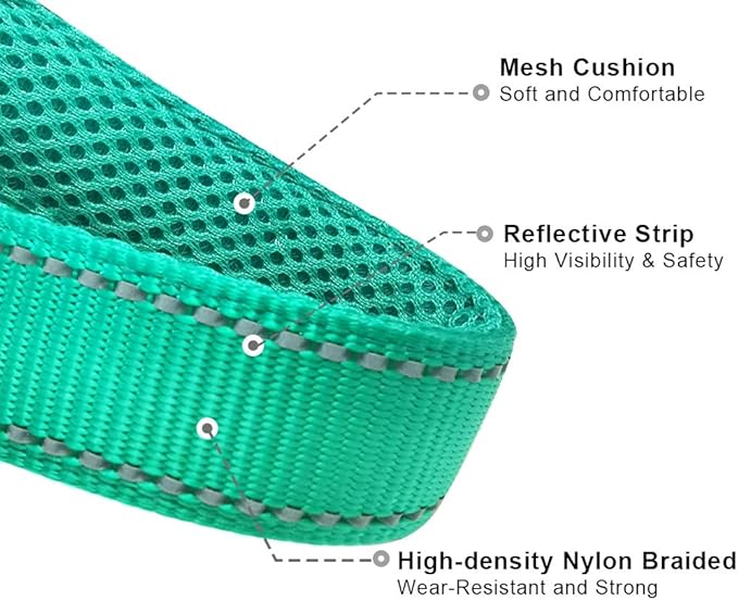 Reflective Slip Dog Collar, Loop Dog Collar for 20-38 lbs Dogs Nylon Collars with Soft Padded for Dogs Training (5/8" W x 15.5" L, Turquoise)