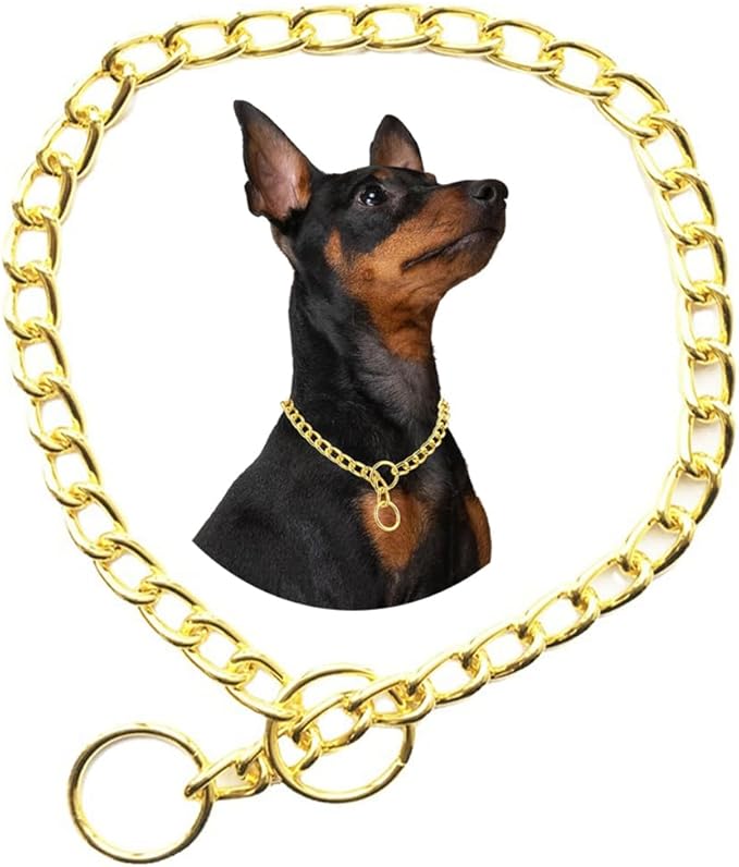 Chain Dog Collars for Medium Dogs,Metal Slip Link Training Heavy Duty Dog Collar Martingale Puppy Collars for XXS XS Small Medium Large Big XL Breed Dogs Golden M