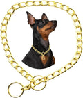 Chain for Dogs,Metal Slip Link Training Heavy Duty Dog Collar Martingale Puppy Collars for XXS XS Small Medium Large Big XL Breed Dogs Golden S