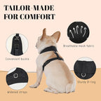 AVERYDAY Dog Tuxedo for Wedding Outfit, Dog Suit and Tie Costumes for Birthday, Halloween, Cosplay, Christmas Party, Pet Formal Wear with Bowtie, Tux for Small Dogs, Chihuahua, Bichon, Maltese, Cats