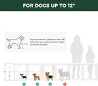 FXW AuraSpace Acrylic Indoor Dog Playpen for Puppies and Small Dogs, 24 Inch, 10 Panels, White